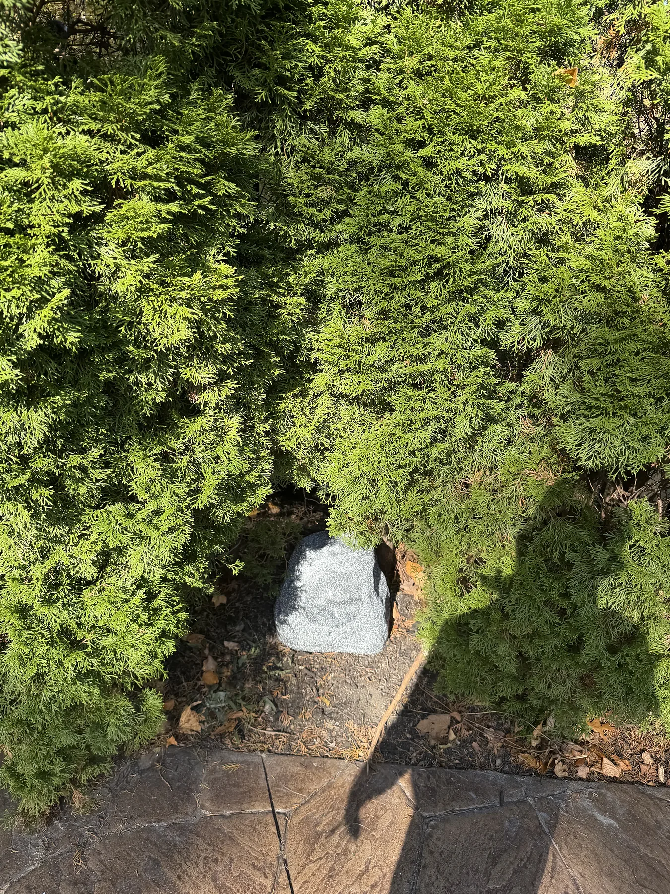 Outdoor rock-style landscape speaker in landscaping