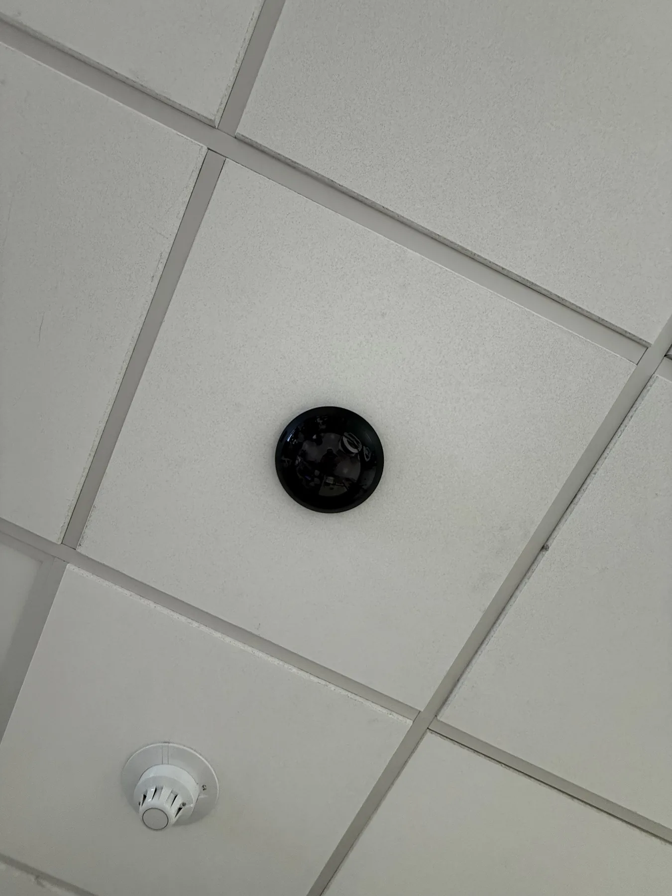 Circular ceiling sensor on a white drop-ceiling tile